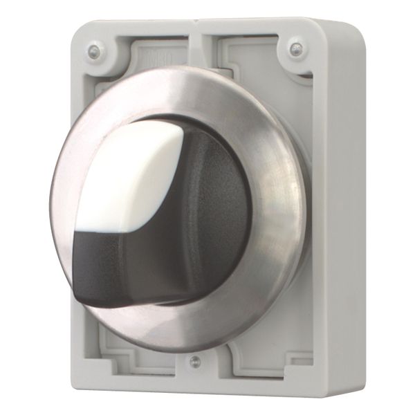 Changeover switch, RMQ-Titan, with thumb-grip, momentary, 3 positions, Front ring stainless steel image 3