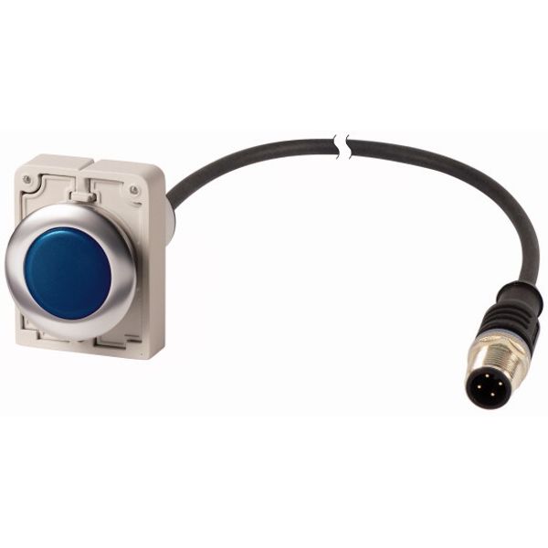 Indicator light, Flat, Cable (black) with M12A plug, 4 pole, 1 m, Lens Blue, LED Blue, 24 V AC/DC image 1