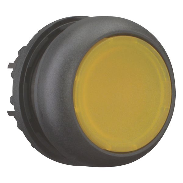 Illuminated pushbutton actuator, RMQ-Titan, Flush, momentary, yellow, Blank, Bezel: black image 12