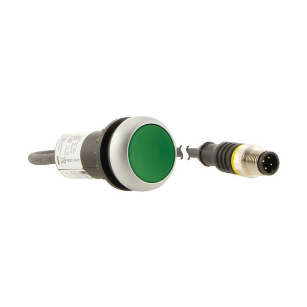 Pushbutton, Flat, momentary, 1 N/O, Cable (black) with M12A plug, 4 pole, 0.2 m, green, Blank, Bezel: titanium image 16