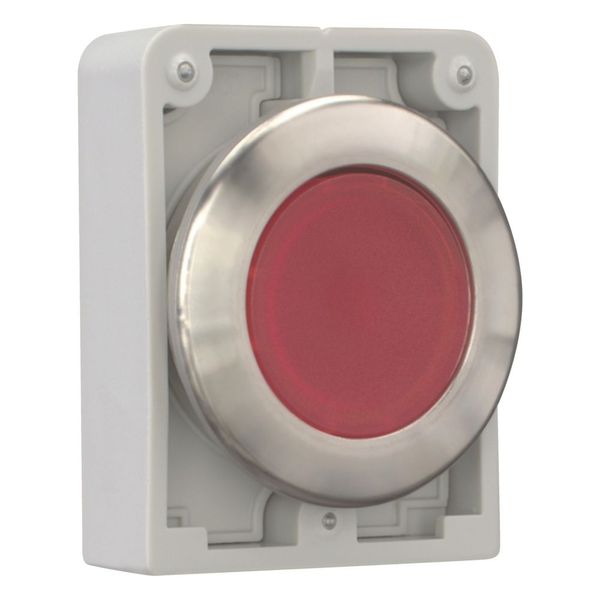 Illuminated pushbutton actuator, RMQ-Titan, flat, maintained, red, blank, Front ring stainless steel image 13