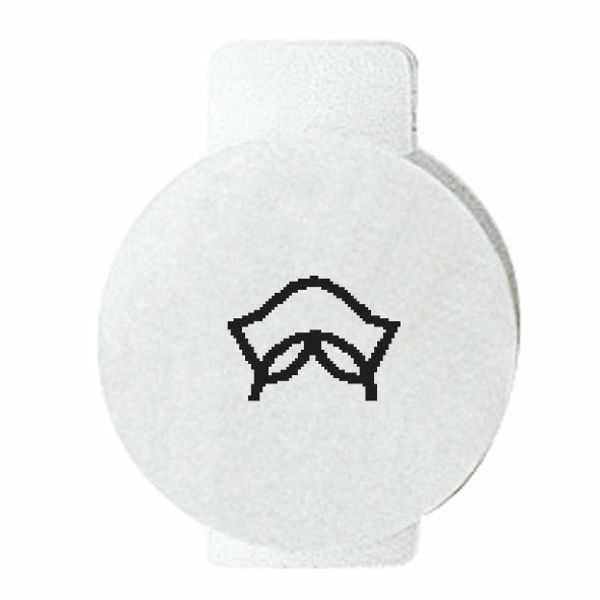 LENS WITH ILLUMINATED SYMBOL FOR COMMAND DEVICES - SERVICE - SYSTEM WHITE image 2