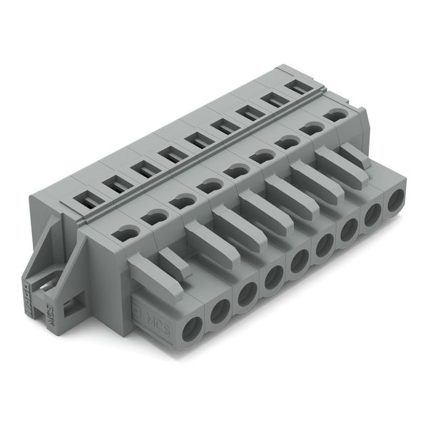 1-conductor female connector CAGE CLAMP® 2.5 mm² gray image 1