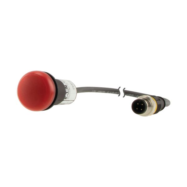 Indicator light, Flat, Cable (black) with M12A plug, 4 pole, 0.5 m, Lens Red, LED Red, 24 V AC/DC image 6