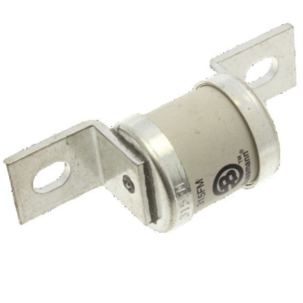 5.5KV 125E BHLE FUSE image 3