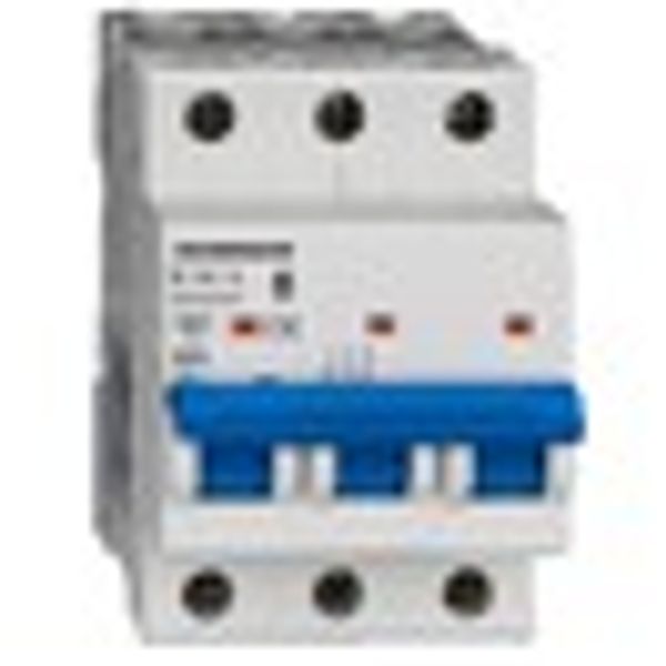 Miniature Circuit Breaker (MCB) AMPARO 10kA, B 16A, 3-pole image 8