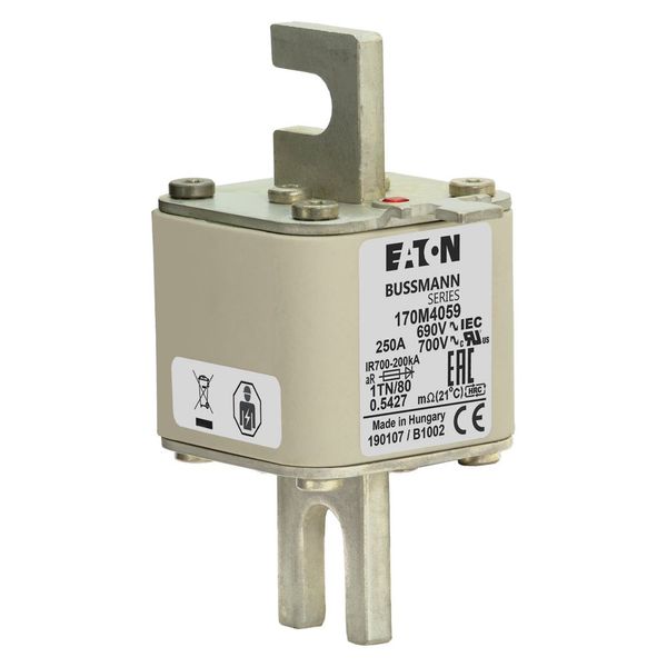 Fuse-link, high speed, 250 A, AC 690 V, DIN 1, 53 x 66 x 108 mm, aR, DIN, IEC, single indicator image 18