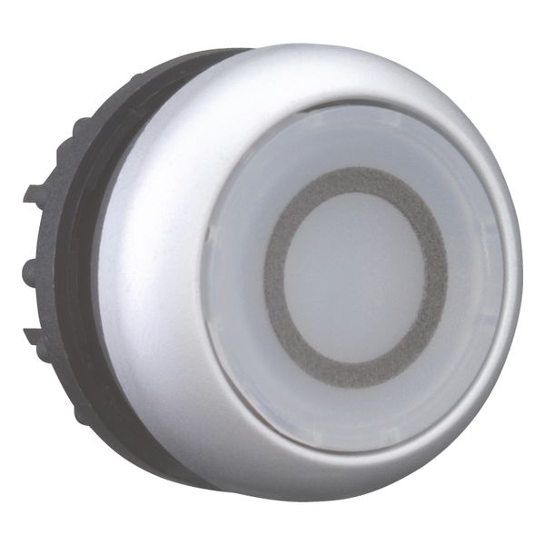 Illuminated pushbutton actuator, RMQ-Titan, Flush, momentary, White, inscribed 0, Bezel: titanium image 12