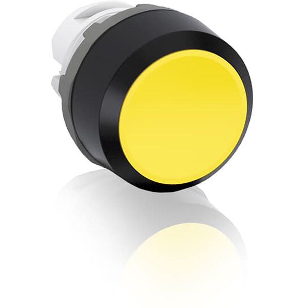 MP1-10Y Pushbutton image 1