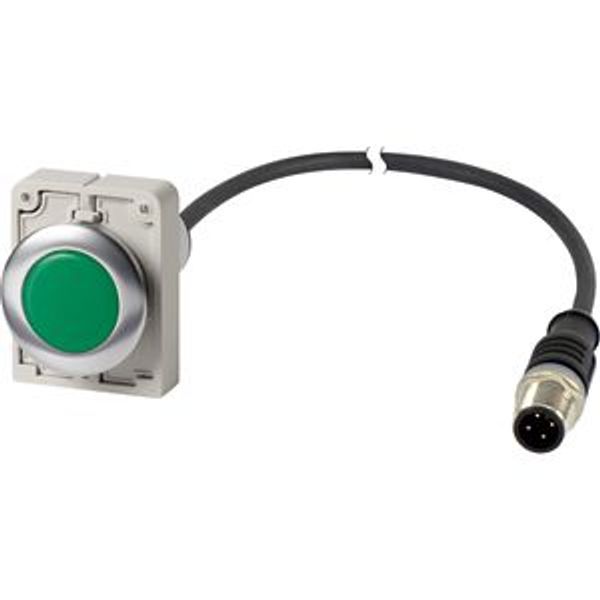 Indicator light, Flat, Cable (black) with M12A plug, 4 pole, 1 m, Lens green, LED green, 24 V AC/DC image 2