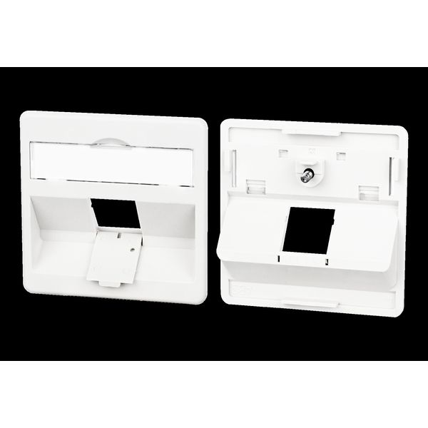 Central plate 50 x 50 mm 1 port, pure white, modul image 2