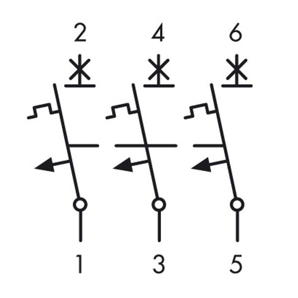 Miniature Circuit Breaker (MCB) D, 50A, 3-pole, 10kA image 4