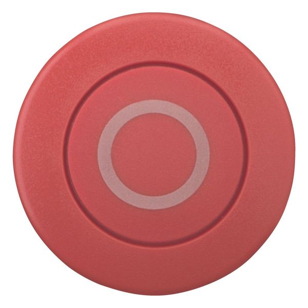 Mushroom actuator, RMQ-Titan, Mushroom, maintained, Mushroom red, red, inscribed, Bezel: black image 10