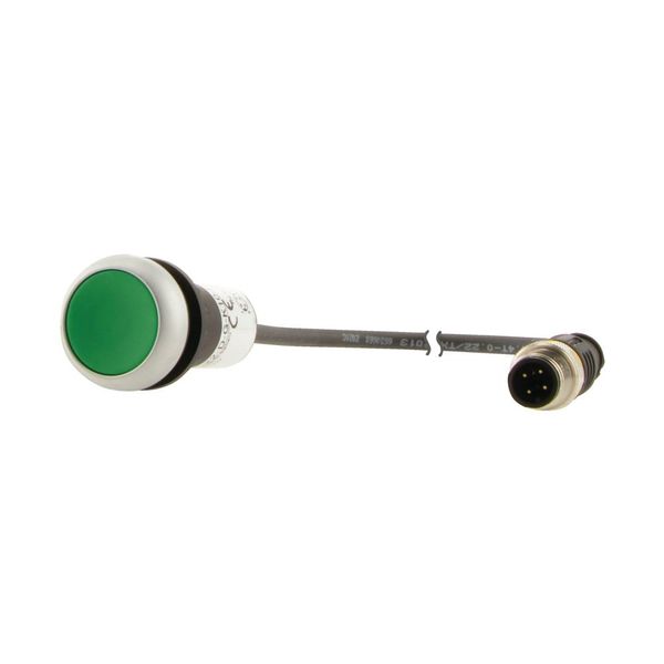 Pushbutton, Flat, momentary, 1 N/O, Cable (black) with M12A plug, 4 pole, 0.5 m, green, Blank, Bezel: titanium image 9