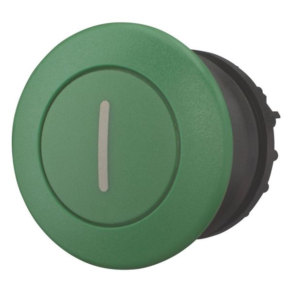 Mushroom actuator, RMQ-Titan, Mushroom, momentary, Mushroom green, green, inscribed, Bezel: black image 5