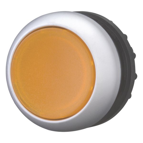 Illuminated pushbutton actuator, RMQ-Titan, Flush, maintained, orange, Blank, Bezel: titanium image 9
