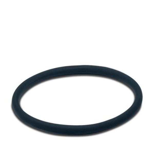 SM-Z0021 - Sealing ring image 1