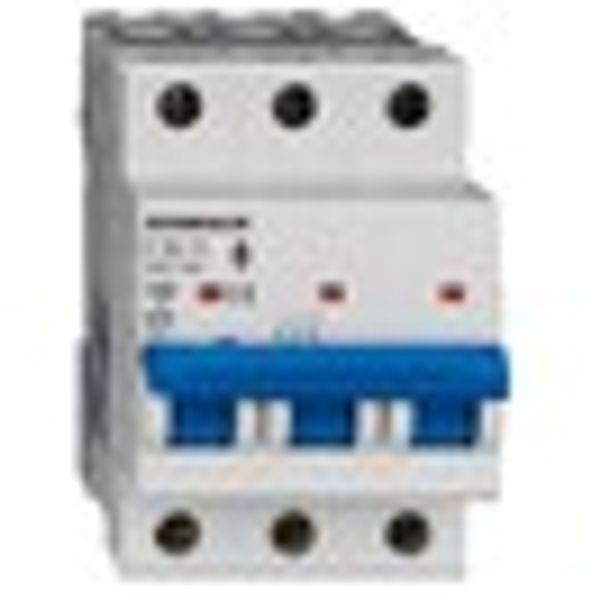 Miniature Circuit Breaker (MCB) AMPARO 10kA, C 32A, 3-pole image 9