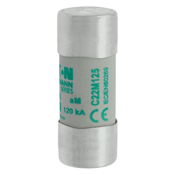 Fuse-link, LV, 125 A, AC 400 V, 22 x 58 mm, aM, IEC image 20