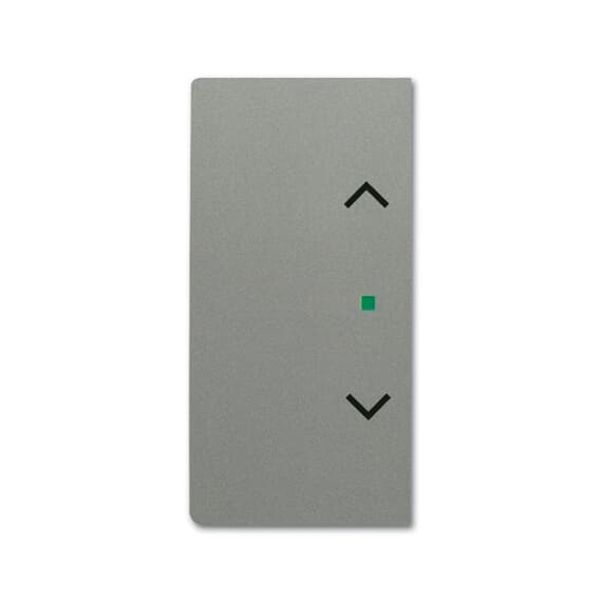 SRS-2-L-803 Electronic Controls free@home grey metallic - 63x63 image 1