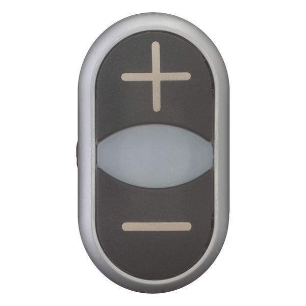 Double actuator pushbutton, RMQ-Titan, Actuators and indicator lights non-flush, momentary, White lens, black, black, inscribed, Bezel: titanium, arro image 3