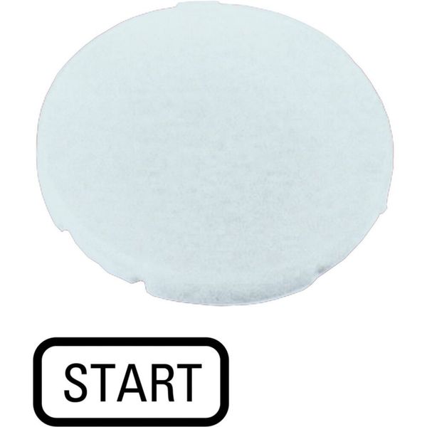 Button plate, flat white, START image 5