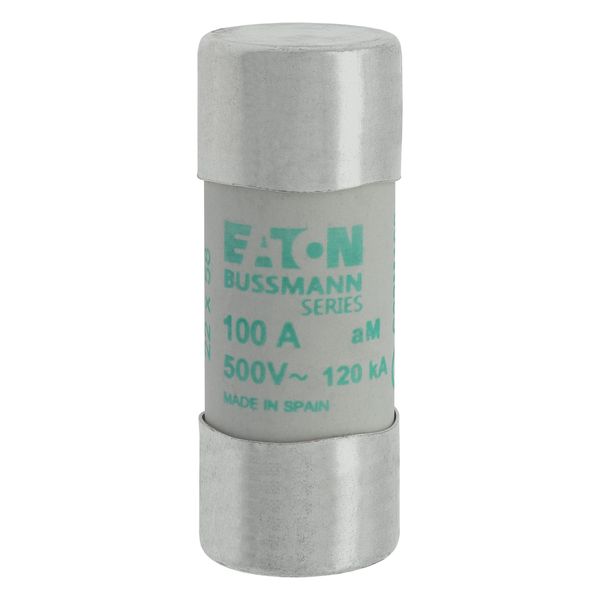 Fuse-link, LV, 100 A, AC 500 V, 22 x 58 mm, aM, IEC image 17