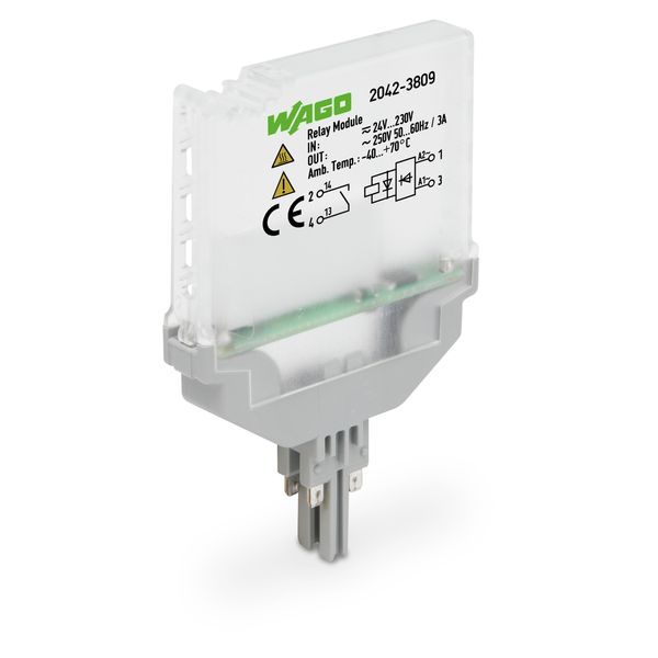 Relay module Nominal input voltage: 24 … 230 V AC/DC 1 make contact image 1