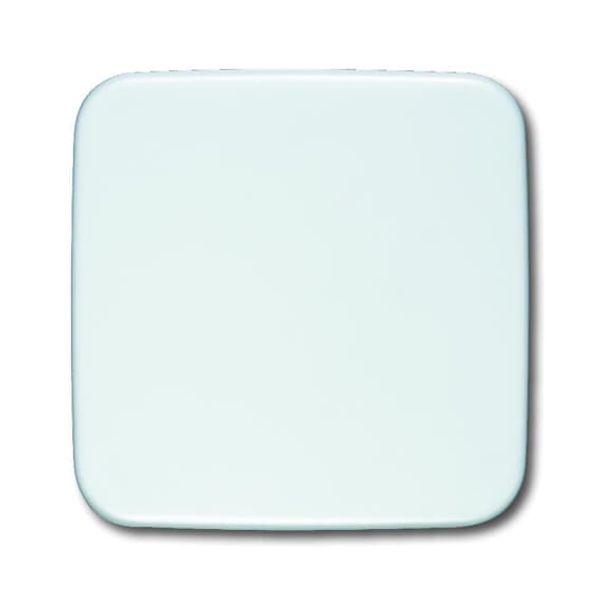 2546-214 CoverPlates (partly incl. Insert) carat® Alpine white image 2