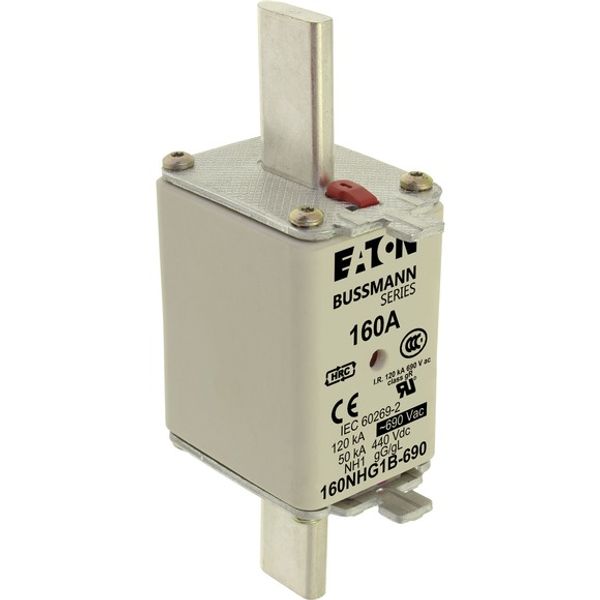 Fuse-link, low voltage, 160 A, AC 500 V, NH1, gL/gG, IEC, dual indicator image 4