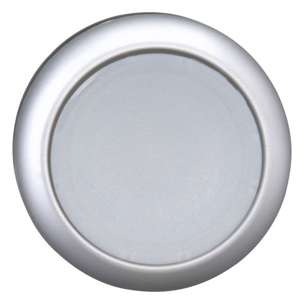 Illuminated pushbutton actuator, RMQ-Titan, Flush, maintained, White, Blank, Bezel: titanium image 3