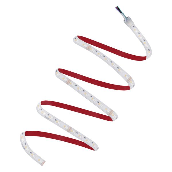 LED STRIP PERFORMANCE-1000 RGBW PROTECTED -1000/RGBW/830/5/IP66 image 1