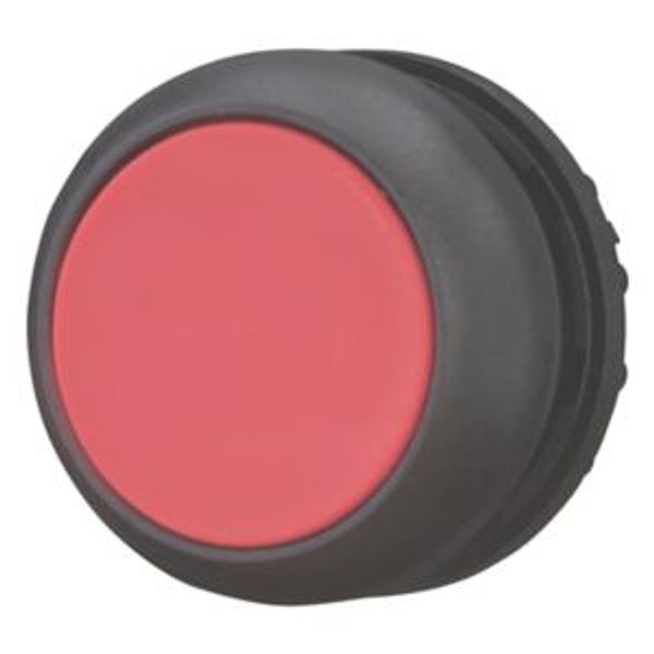 Pushbutton, RMQ-Titan, Flat, momentary, red, Blank, Bezel: black image 2