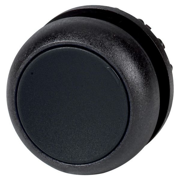 Pushbutton, RMQ-Titan, Flat, maintained, black, Blank, Bezel: black image 2