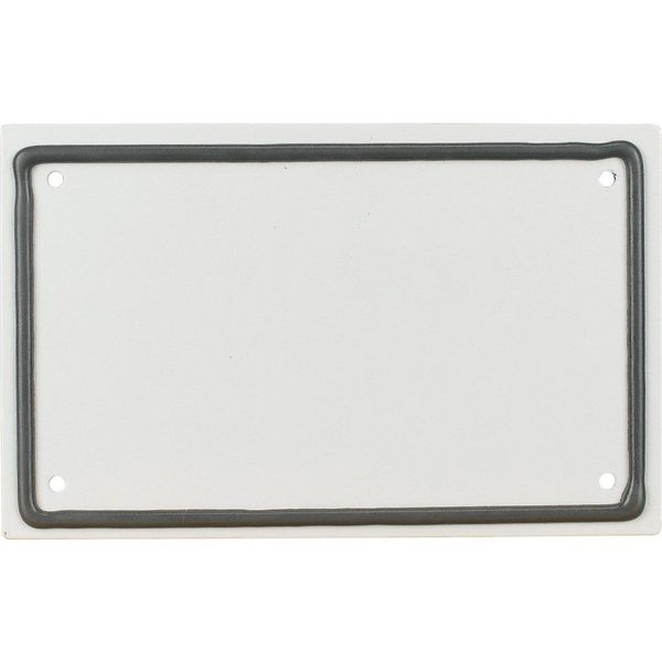 Flange plate, IP66, metal, blind image 4