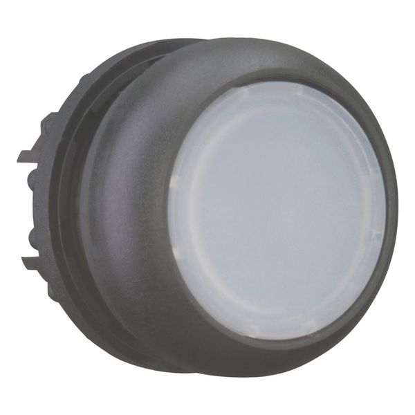 Illuminated pushbutton actuator, RMQ-Titan, Flush, maintained, White, Blank, Bezel: black image 13