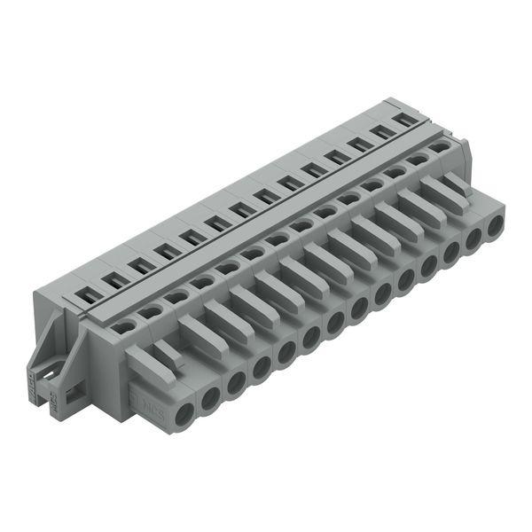 1-conductor female connector CAGE CLAMP® 2.5 mm² gray image 1