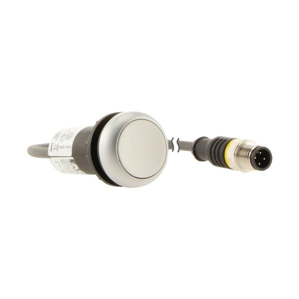 Pushbutton, Flat, momentary, 1 N/O, Cable (black) with M12A plug, 4 pole, 0.5 m, White, Blank, Bezel: titanium image 10