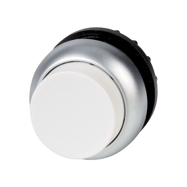 Pushbutton, RMQ-Titan, Extended, maintained, White, Blank, Bezel: titanium image 3