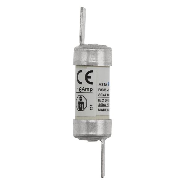 Fuse-link, LV, 16 A, AC 440 V, BS88/F1, 15 x 62 mm, gL/gG, BS image 23