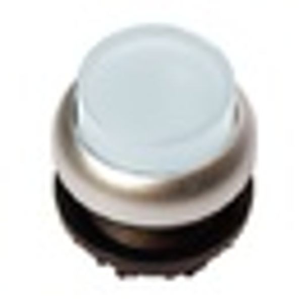 Illuminated Push-button, extended, spring-return, white image 2