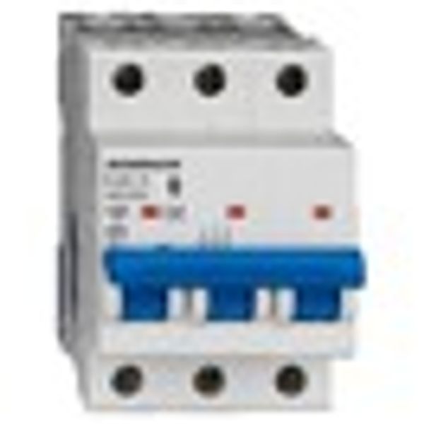 Miniature Circuit Breaker (MCB) AMPARO 10kA, D 20A, 3-pole image 8