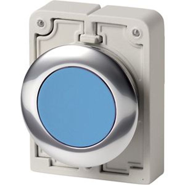 Pushbutton, RMQ-Titan, Flat, maintained, Blue, Blank, Metal bezel image 8