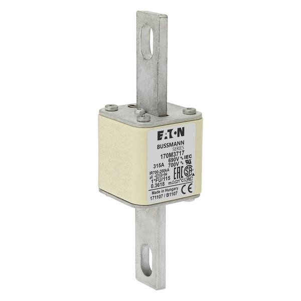 Fuse-link, high speed, 315 A, AC 690 V, compact size 1, 45 x 45 x 148 mm, aR, IEC, UL image 14