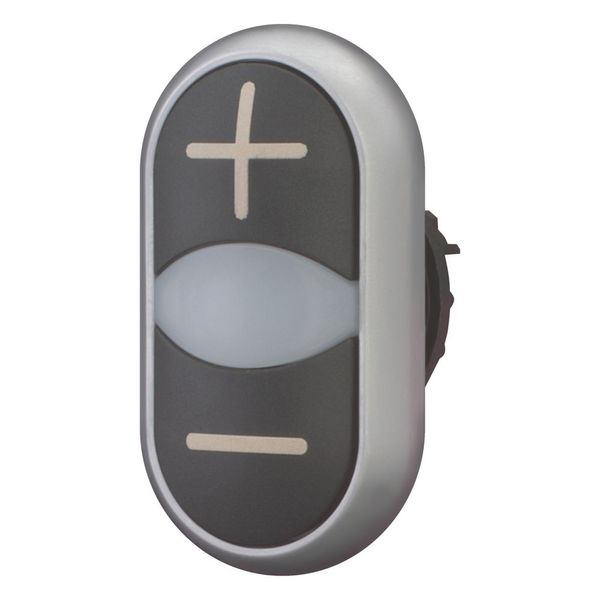 Double actuator pushbutton, RMQ-Titan, Actuators and indicator lights non-flush, momentary, White lens, black, black, inscribed, Bezel: titanium image 4
