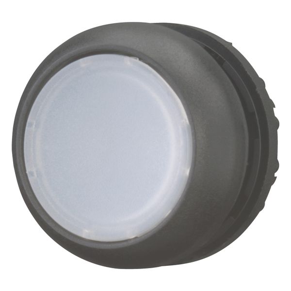 Illuminated pushbutton actuator, RMQ-Titan, Flush, maintained, White, Blank, Bezel: black image 2