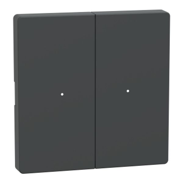 Rocker for 2-gang push-button module, anthracite, System Design image 2