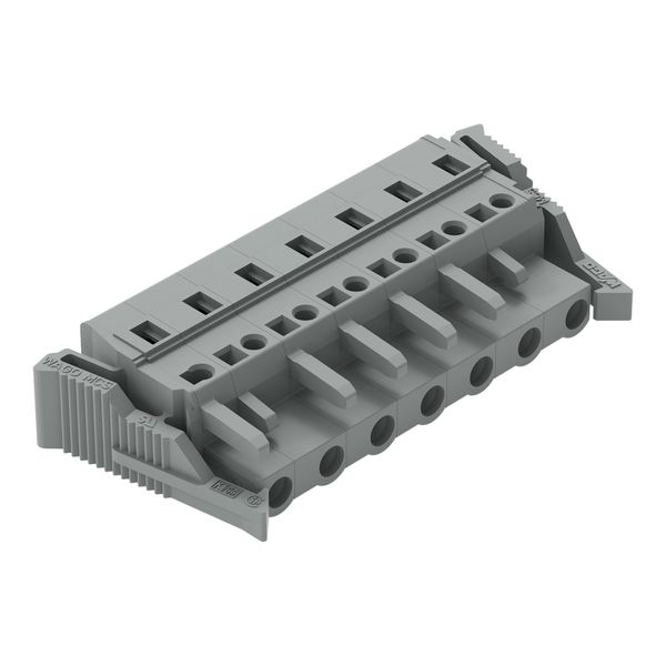 1-conductor female connector CAGE CLAMP® 2.5 mm² gray image 1