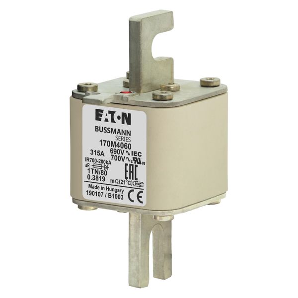 Fuse-link, high speed, 315 A, AC 690 V, DIN 1, 53 x 66 x 108 mm, aR, DIN, IEC, single indicator image 5