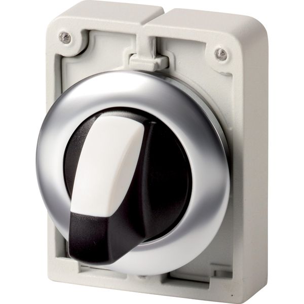 Changeover switch, RMQ-Titan, with thumb-grip, momentary, 2 positions, Front ring stainless steel image 3